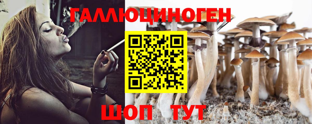 как найти закладки  Галлюциногенные грибы MAGIC MUSHROOMS  Галлюциногенные грибы MAGIC MUSHROOMS  Вход с VPN  Луга 